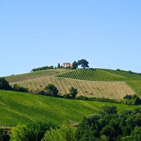Ferienhaus Cypressa Modern Retreat